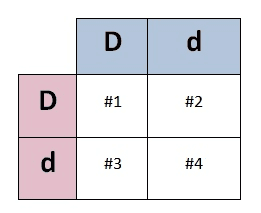 Punnett Square Practice