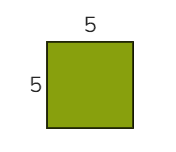 Area and Perimeter Quiz: Calculate Square and Rectangle